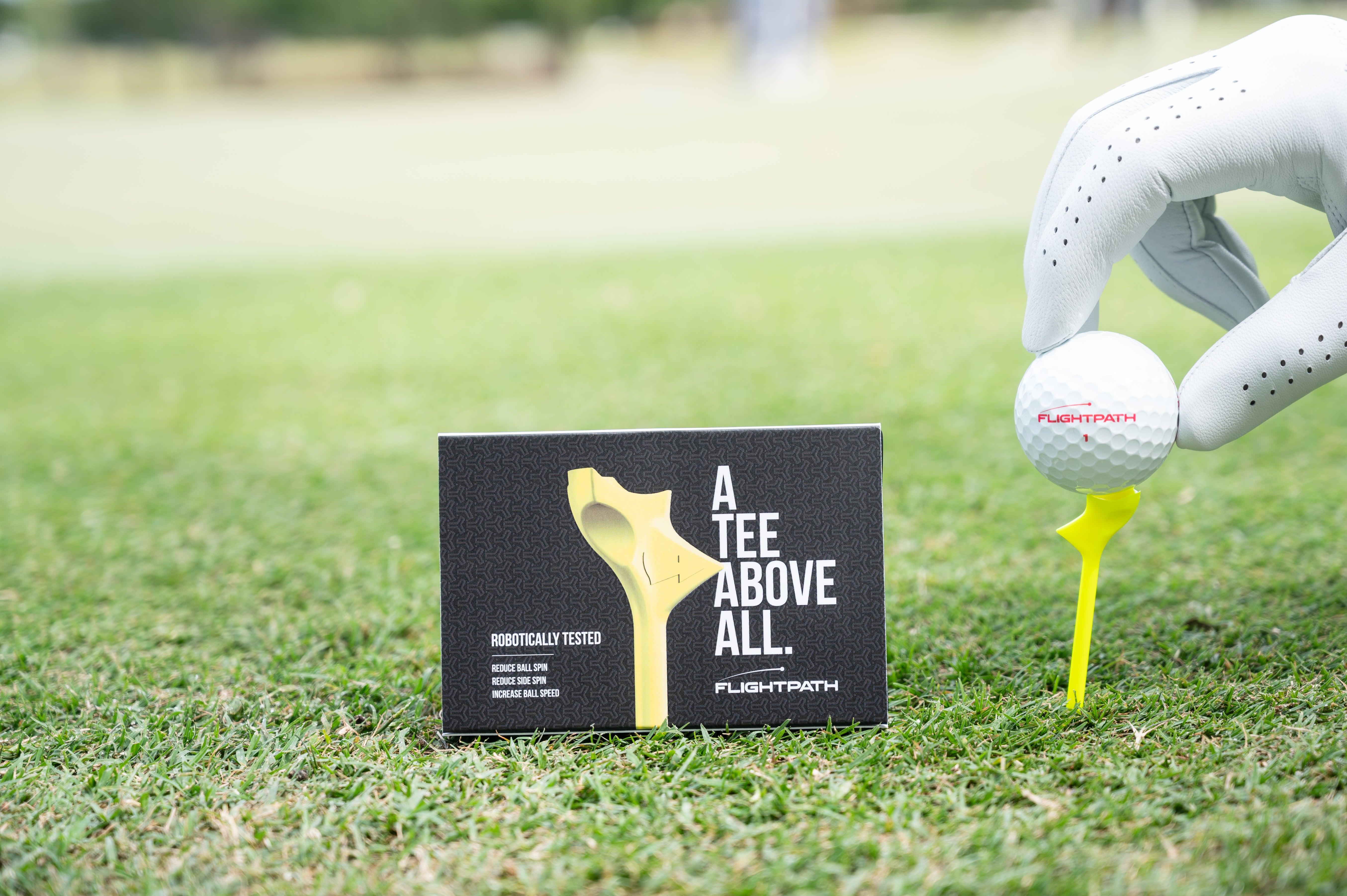 Yellow 12.jpg__PID:c273a27c-9b4f-4541-afda-272c131ac3c6