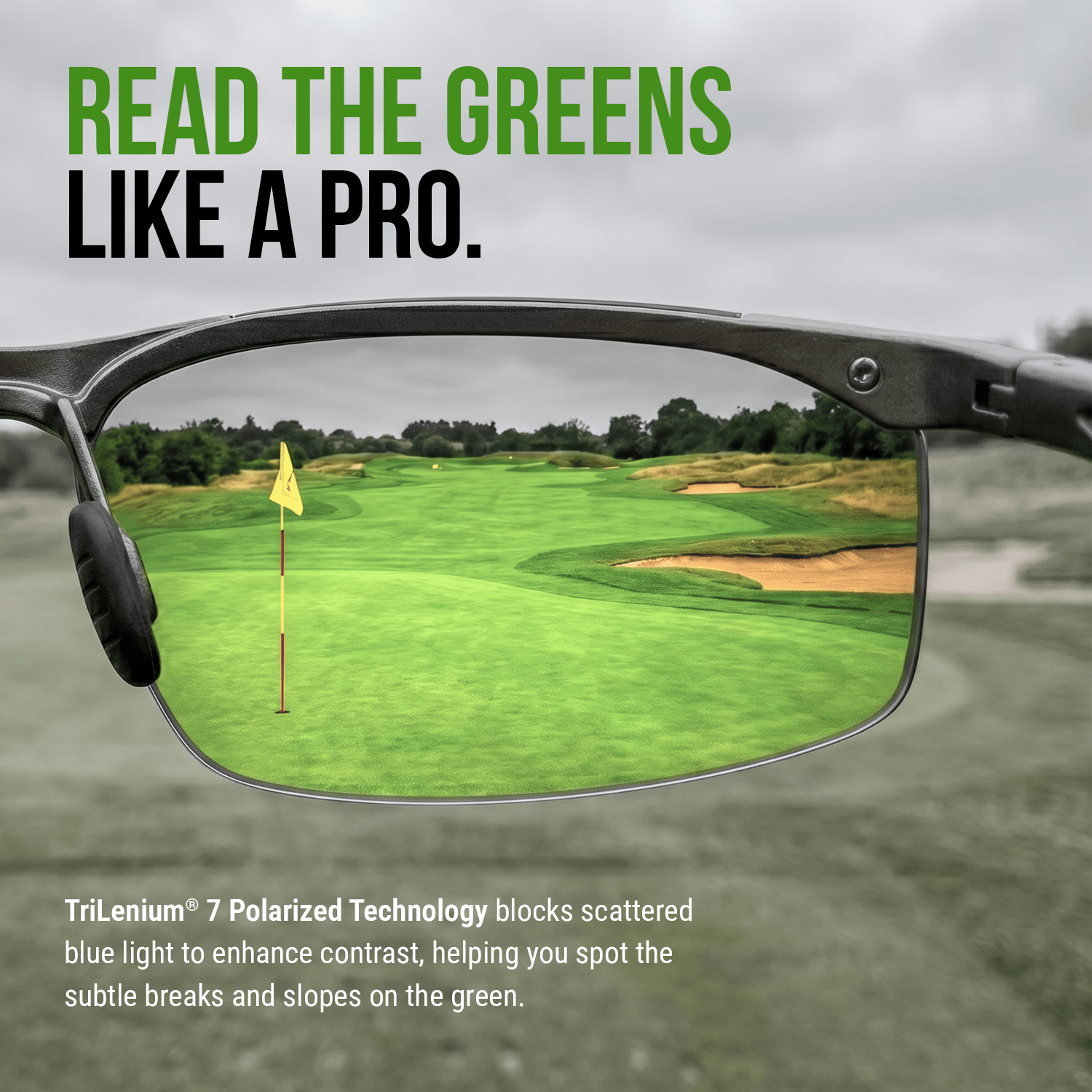Triumph Sunglasses